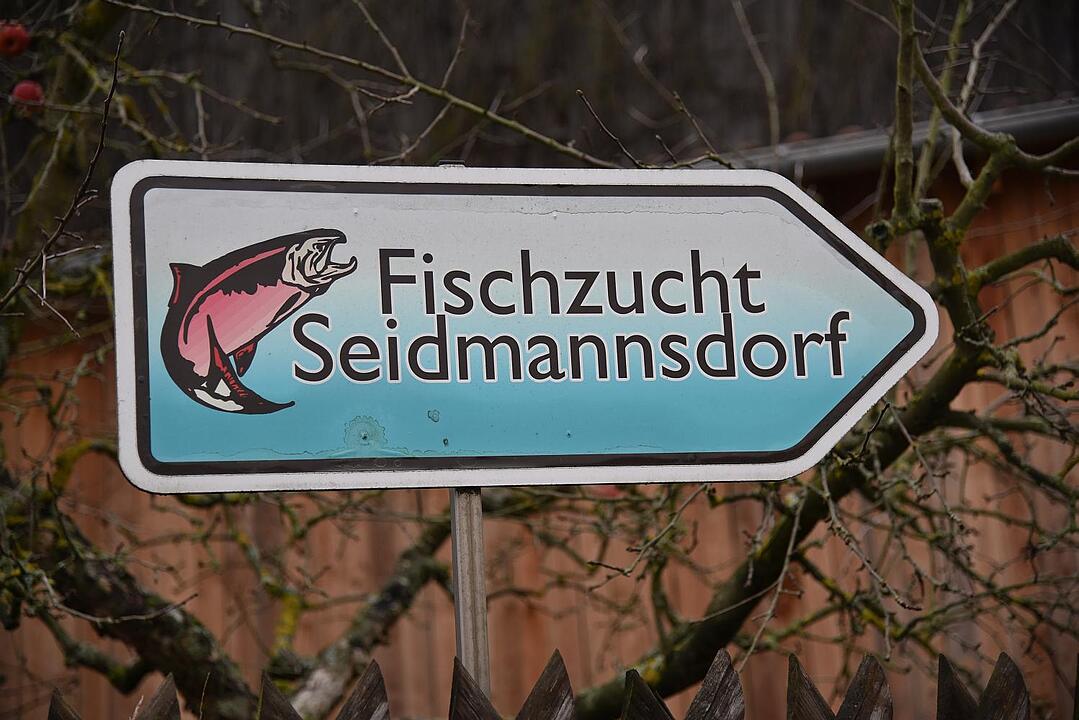 10.01.2016 Fotoreportage Seidmannsdorf