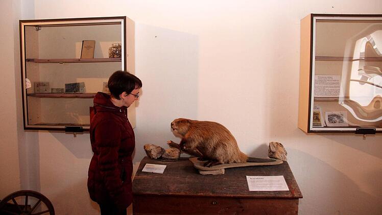 Ein Gespräch mit einem Biber