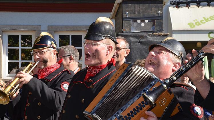 Die Musiker in Aktion
