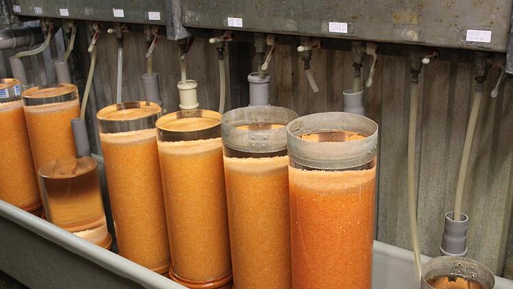 FischlaichCarmen Schwind