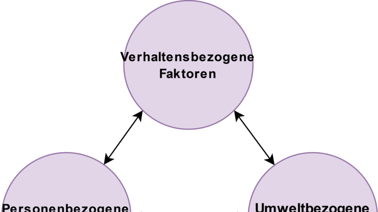 Die Basis seiner Lerntheorie bildet der reziproke Determinismus.