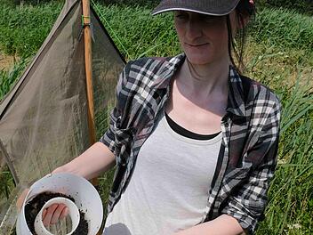 Maud Vogel vom Institut für Biodiversität-Information kontrolliert regelmäßig die Messstationen und leert die Behälter, die im Diebacher Schilf Aufschluss über die Artenvielfalt und Vorkommen von Insekten geben soll.Gerd Schaar