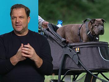 Martin Rütter sucht nach einem neuen Zuhause für Jessi, die nicht mehr so gut zu Fuß ist.