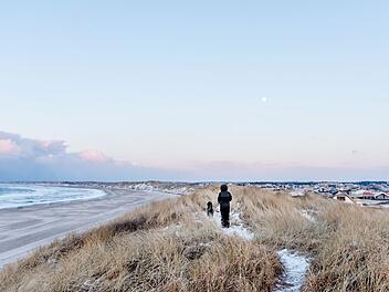 Frische Brisen und frostige Aussichten: Ein Winterspaziergang am Meer in Dänemark.