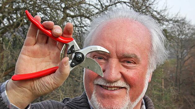 Der Sommerschnitt der S&auml;ulenb&auml;ume bremst das Wachstum. Vor allem die S&auml;ulenbirnen und -kirschen sollten Anfang Juli gek&uuml;rzt werden. Foto: Jupp Schr&ouml;der