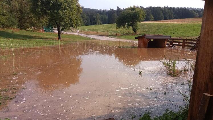 Auch das Freigehege stand komplett unter Wasser. Foto: Christian Licha