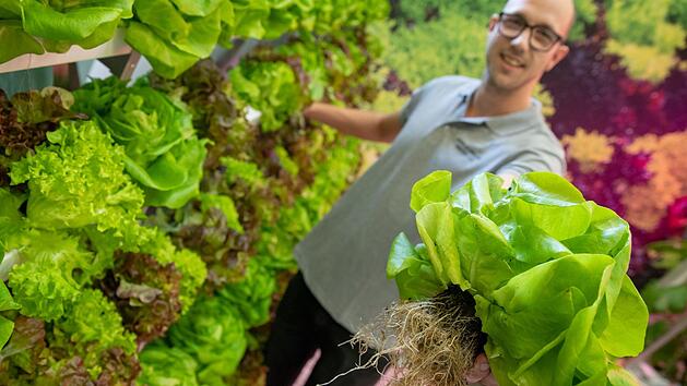 Die Consumenta 2019 bietet viele regionale Spezialitäten. Auf dem Foto sind Spezialitäten aus dem Knoblauchsland zu sehen. Foto: Daniel Karmann/dpa