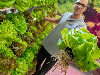 Die Consumenta 2019 bietet viele regionale Spezialitäten. Auf dem Foto sind Spezialitäten aus dem Knoblauchsland zu sehen. Foto: Daniel Karmann/dpa