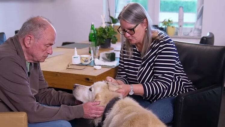 Willi hat sein neues Zuhause gefunden und bl&uuml;ht auf.