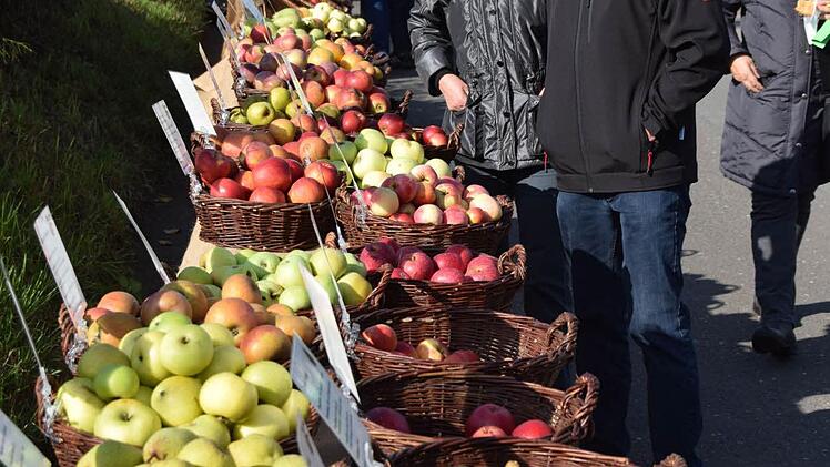 Foto: Ronald Rinklef