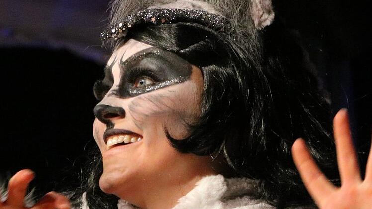 Prunksitzung 2019 in Stadtsteinach. Foto: Jürgen Gärtner