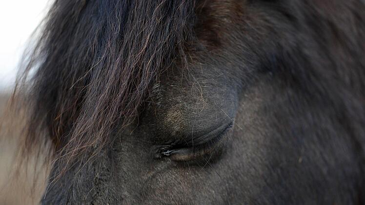 Foto: Caroline Seidel/dpa