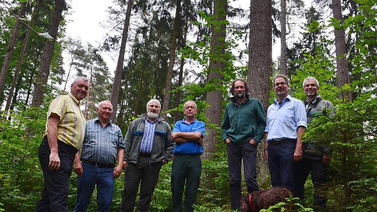 Unterwegs zu Vorzeige-Waldbildern (von links): Bürgermeister Jürgen Hennemann, Dritter Bürgermeister und Waldreferent Werner Riegel, Jürgen Hahn und Wolfgang Gnannt vom AfELF, Robert Reißig, Forstoberrat Armin Otter und Matthias Rech vom Forstbüro. Foto: Otter