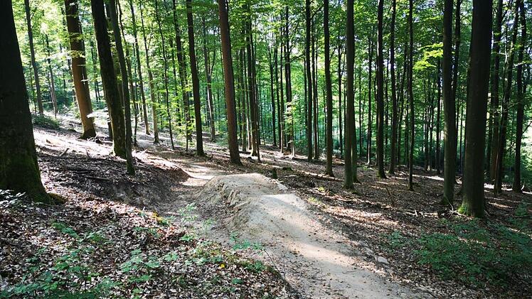 Der Flowtrail Burgsinn befindet sich immer noch in der Entstehungsphase. Im Herbst und Winter wollen die Burgsinner Mountainbiker die Piste mit Hindernissen fertigstellen.  Foto: Tosten Auth