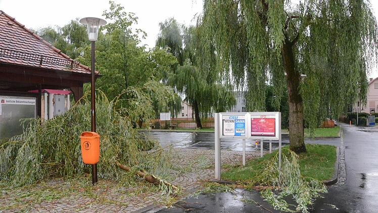 In Garitz am See ist ein dicker Ast abgebrochen. Nur knapp an geparkten Autos vorbei. Foto: Peter Rauch