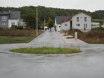 Im Neubaugebiet "Hinter Turm III" ergeben sich mehrere Möglichkeiten für Anpflanzungen. In die Mitte des Kreisverkehrs  soll eine Kaiserlinde   gepflanzt werden. Winfried Ehling