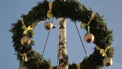 Sieben goldene Äpfel zieren den Sulzthaler  Maibaum.Bernd Sachs