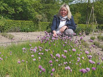 Kräuterführerin Jutta Vogt am Schnittlauch-Beet im Kräutergarten des Staatsbades Brückenau. Die lila Blüten eignen sich als essbare Dekoration. Foto: Rebecca Vogt