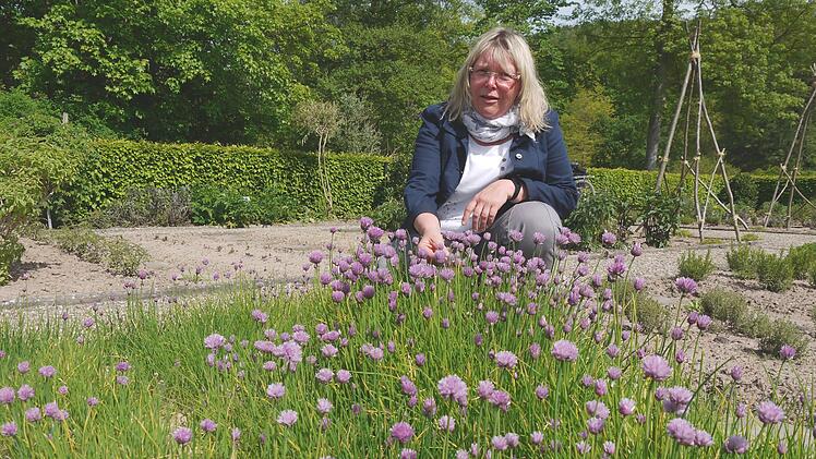 Kräuterführerin Jutta Vogt am Schnittlauch-Beet im Kräutergarten des Staatsbades Brückenau. Die lila Blüten eignen sich als essbare Dekoration. Foto: Rebecca Vogt