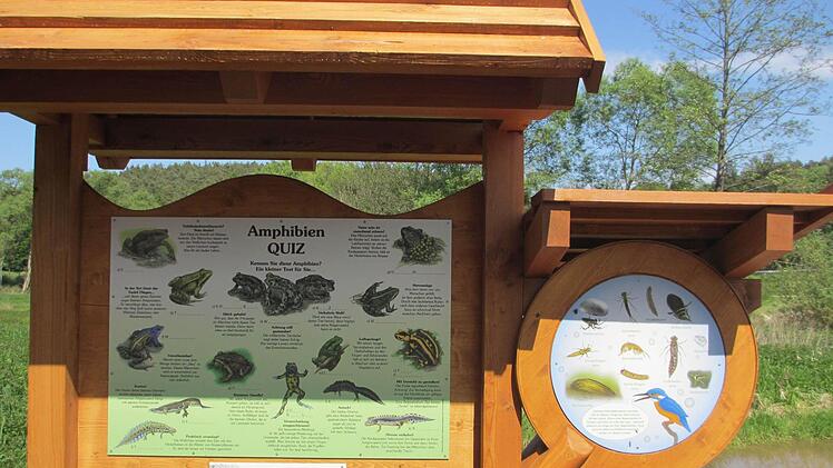 Das Amphibienquiz an den Tretzendorfer Weihern
