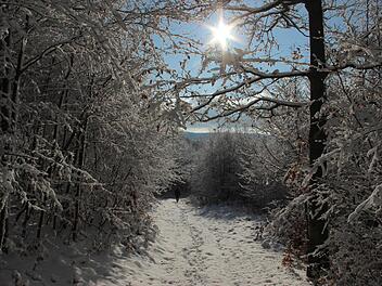 An sonnigen Wintertagen wie am Samstag zeigt sich der Rhöner Wald von seiner schönsten Seite. Ein Gutachten spricht sich dagegen aus, dass dort ein Nationalpark ausgewiesen wird.  Foto: Heike Beudert