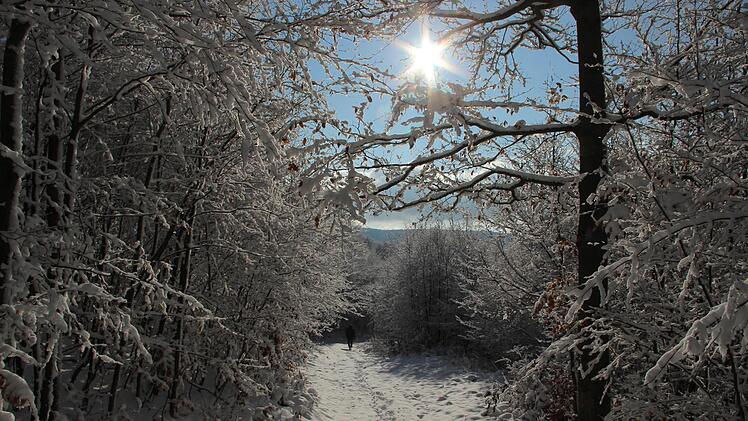 An sonnigen Wintertagen wie am Samstag zeigt sich der Rhöner Wald von seiner schönsten Seite. Ein Gutachten spricht sich dagegen aus, dass dort ein Nationalpark ausgewiesen wird.  Foto: Heike Beudert