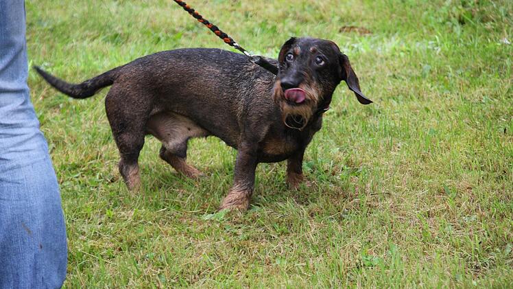 Foto: Mariell Dörrschmidt