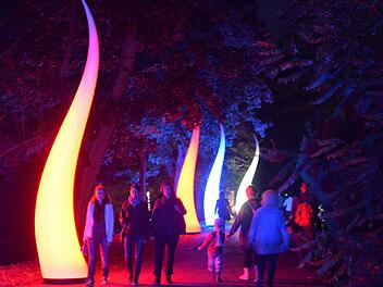 Lichtinstallationen im Hofgarten gehören zum Konzept der "Nacht der Kontraste" (hier aus dem Jahr 2014). In diesem Jahr soll es interaktiv werden, verspricht Organisator Martin Rohm. Wie das funktionieren wird, stehe aber noch nicht fest. Foto: Ronald Rinklef/CT-Archiv