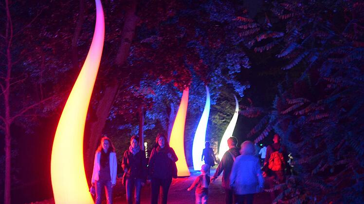 Lichtinstallationen im Hofgarten gehören zum Konzept der "Nacht der Kontraste" (hier aus dem Jahr 2014). In diesem Jahr soll es interaktiv werden, verspricht Organisator Martin Rohm. Wie das funktionieren wird, stehe aber noch nicht fest. Foto: Ronald Rinklef/CT-Archiv