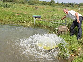 Wenn Martin Oberle, Leiter der Höchstadter Außenstelle für Teichwirtschaft, den Lüfter einschaltet, freuen sich die Karpfen. Foto: Andreas Dorsch