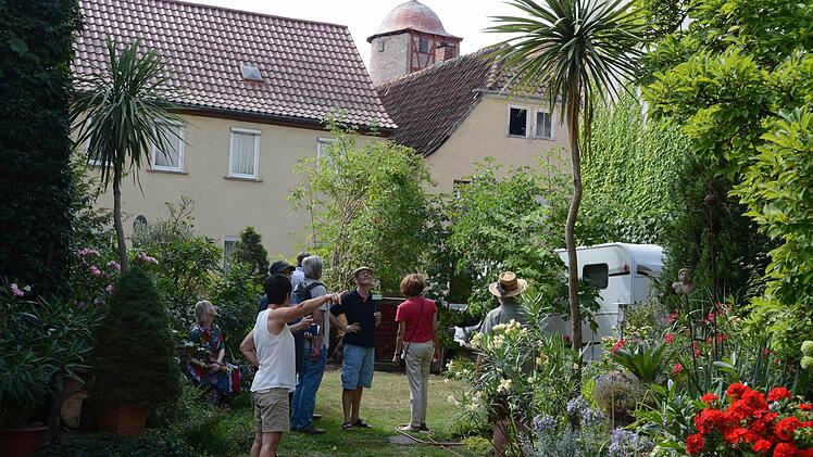 Das Storchennest immer im Blick  Foto: Assmann