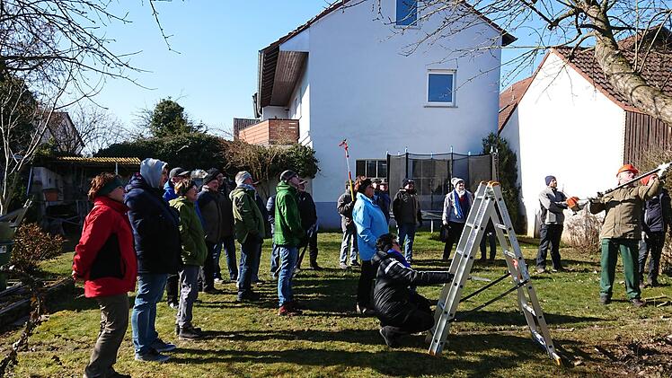 Beim Baumschnittkurs ging es auch in die Praxis. Foto: Gudrun Cimander