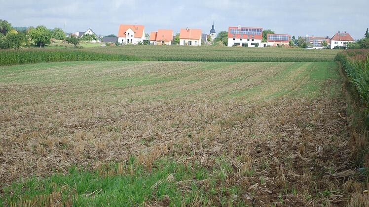 Ein Feld in Sichtweite von Rannungen war es, das Günter Flegel mit seinem Dartpfeil traf...
