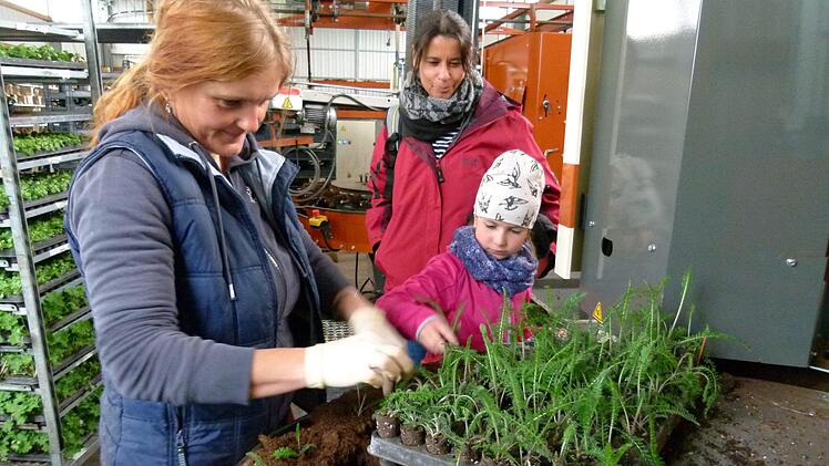 Die Pflanzentopfmaschine hatte es der kleinen Stina angetan. Sie ging Gärtnerin Yvonna eifrig zur Hand ging. Foto: Marion Krüger-Hundrup