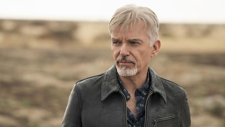 Auch im Fernsehen ist Billy Bob Thornton gut aufgehoben: Für seine Rolle als Anwalt Billy McBride in "Goliath" erhielt er 2017 einen Golden Globe.