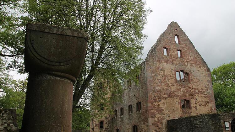 Die Ruine Schönrain soll wissenschaftlich untersucht werden. Foto: Michael Mahr