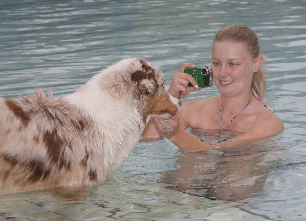 Hundeschwimmen im Kitzinger Freibad