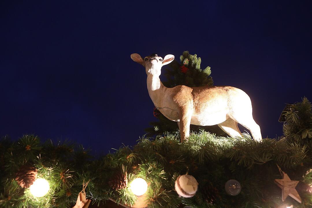 Ba-Weihnachtsmarkteroeffnung-FotoBarbaraHerbst-4252