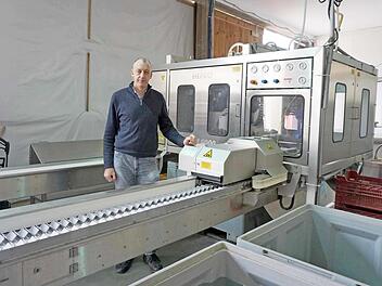 Konrad Kreß an der Schälmaschine in der großen Sortierhalle, in der gegen Mittag der frische Spargel eintrifft