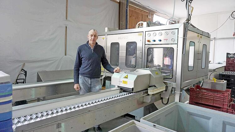Konrad Kreß an der Schälmaschine in der großen Sortierhalle, in der gegen Mittag der frische Spargel eintrifft