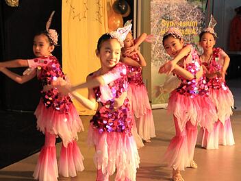 "Frühlingssprache" hieß dieser Tanz, den die jungen Chinesinnen in der Aula des Höchstadter Gymnasiums zeigten.  Foto: Andreas Dorsch