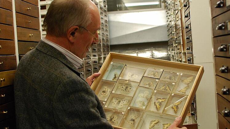 Hermann Hacker in der Zoologischen Staatssammlung in München beim Recherchieren für sein Buch