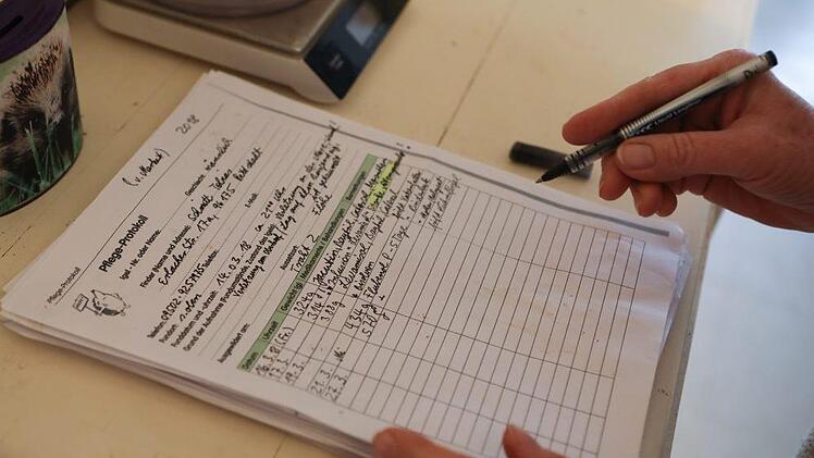 Foto: Barbara Herbst