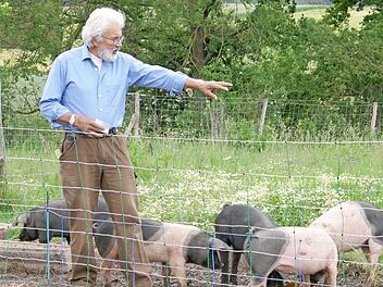 Auf dem Anwesen von Benno Fries fühlen sich die Weideschweine verschiedener Hausschweinrassen "sauwohl". Foto: Dieter Fischer