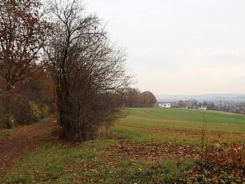 An diesem Heckenzug entlang des Treibwegs soll in der Alternativplanung nicht gebaut werden.  Foto: Andreas Dorsch