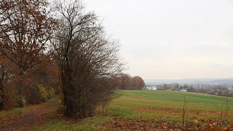 An diesem Heckenzug entlang des Treibwegs soll in der Alternativplanung nicht gebaut werden.  Foto: Andreas Dorsch