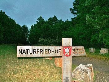 Ein Ort des stillen Gedenkens: Eine Buchenhecke soll den Nüdlinger Naturfriedhof umschließen. Foto: Werner Vogel