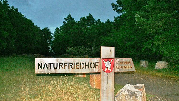 Ein Ort des stillen Gedenkens: Eine Buchenhecke soll den Nüdlinger Naturfriedhof umschließen. Foto: Werner Vogel