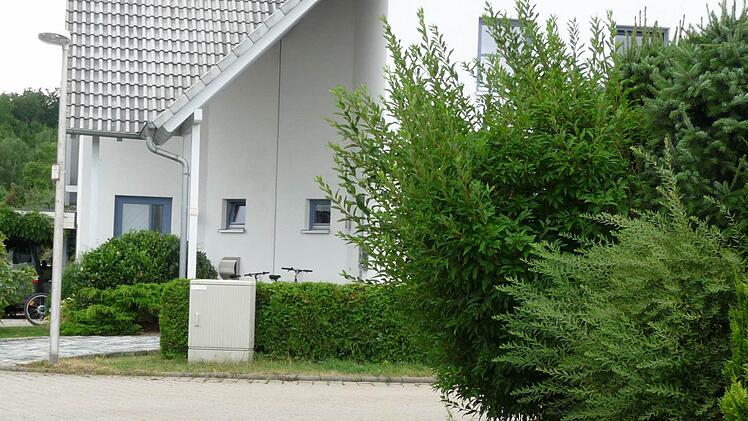 Die Fotos haben Mitarbeiter des CEB aufgenommen ...