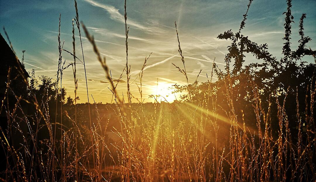 Die schönsten Fotos im September aus Coburg und Umgebung